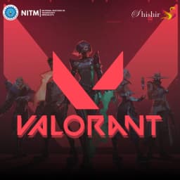 Valorant poster
