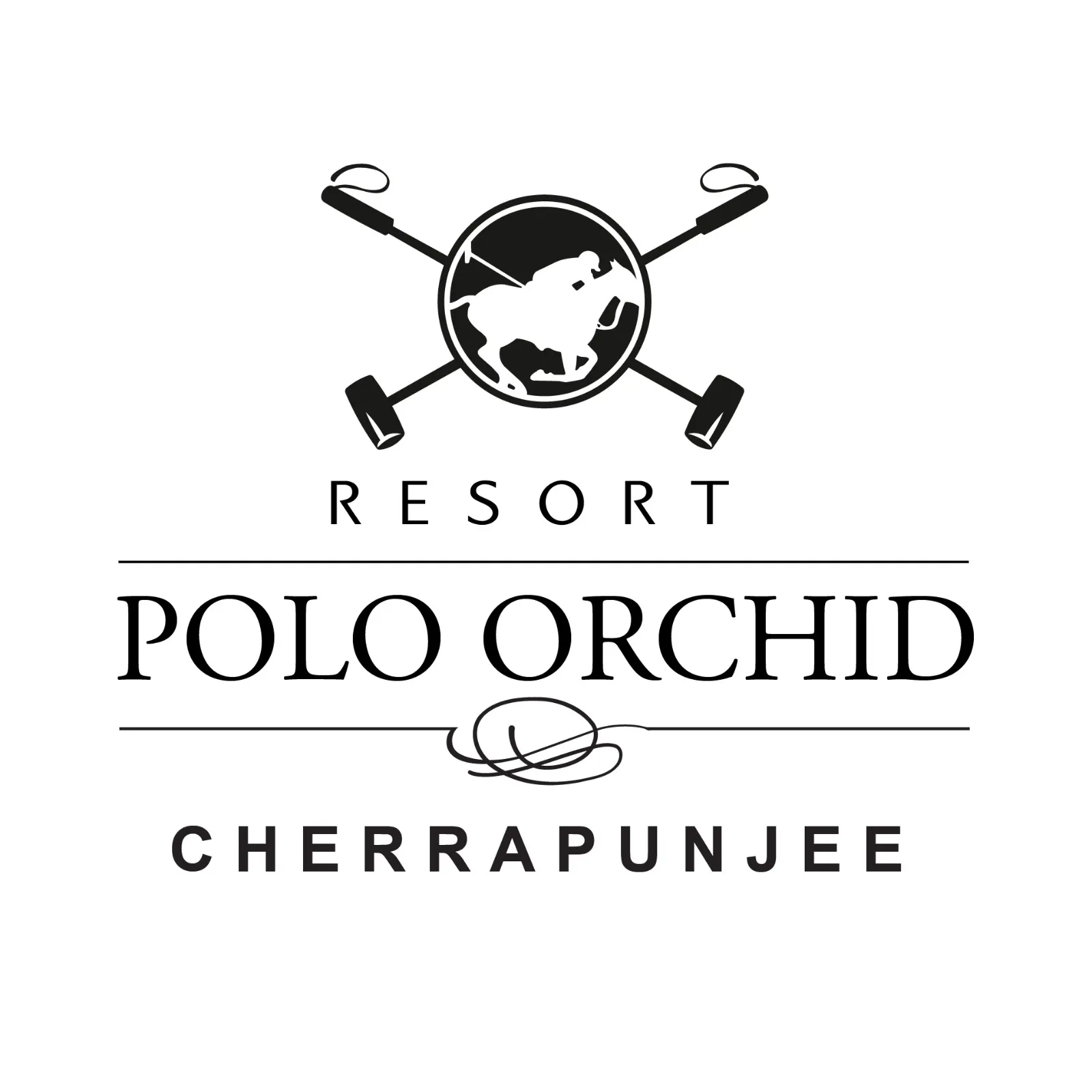Polo Orchid's logo